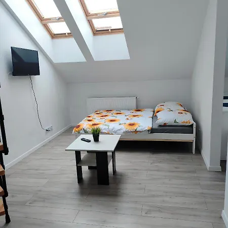 Uroczy W Kamienicy Nr. 8 Appartement Krakau