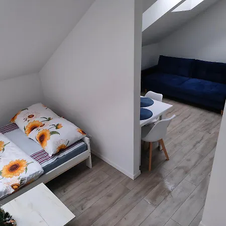 Appartement Uroczy W Kamienicy Nr. 8 *