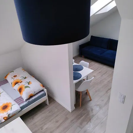 Appartement Uroczy W Kamienicy Nr. 8 *