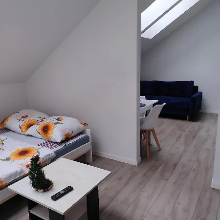 Uroczy W Kamienicy Nr. 8 Krakau